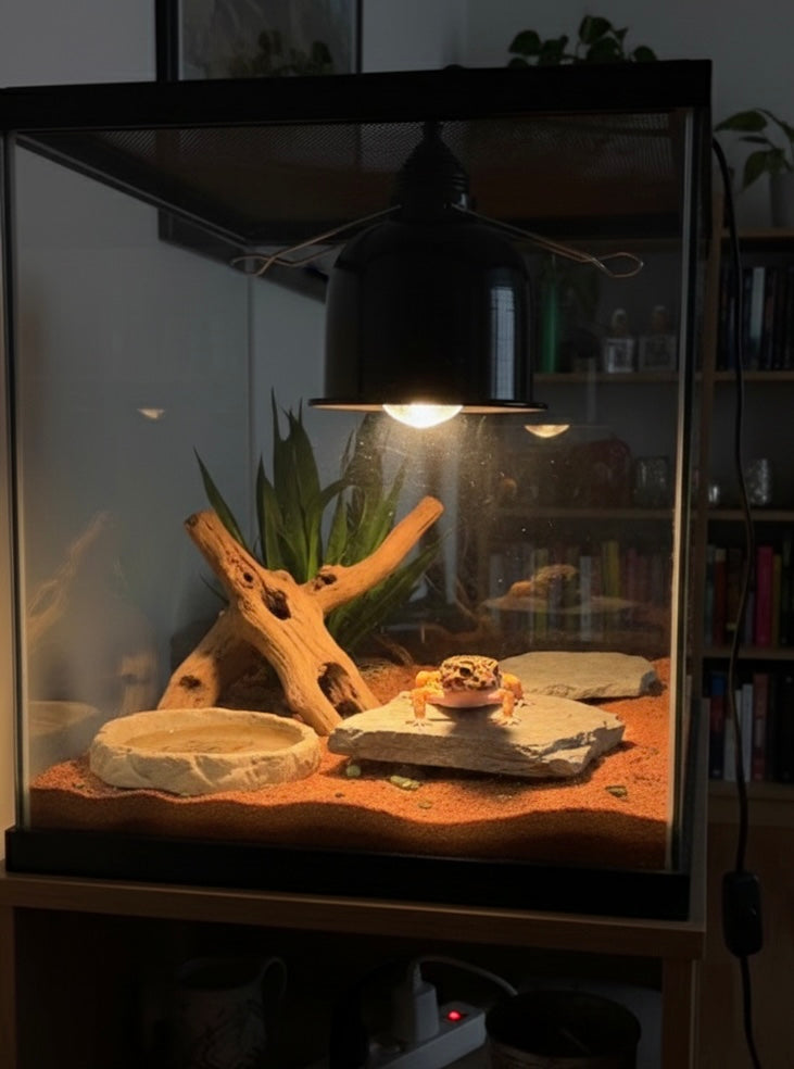 Dôme d'éclairage en aluminium Exo Terra Reptile Dome (modèle PT2348).